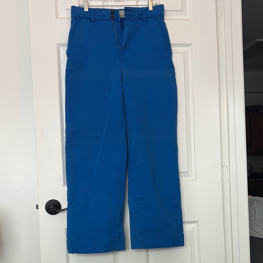 Everlane Blue Cropped Pants